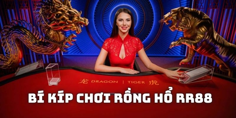 Chiến thuật bạn có thể áp dụng khi tham gia chơi rồng hổ rr88